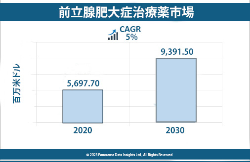 Read more about the article 2030年まで年平均成長率5％予測！前立腺肥大症治療薬市場の動向